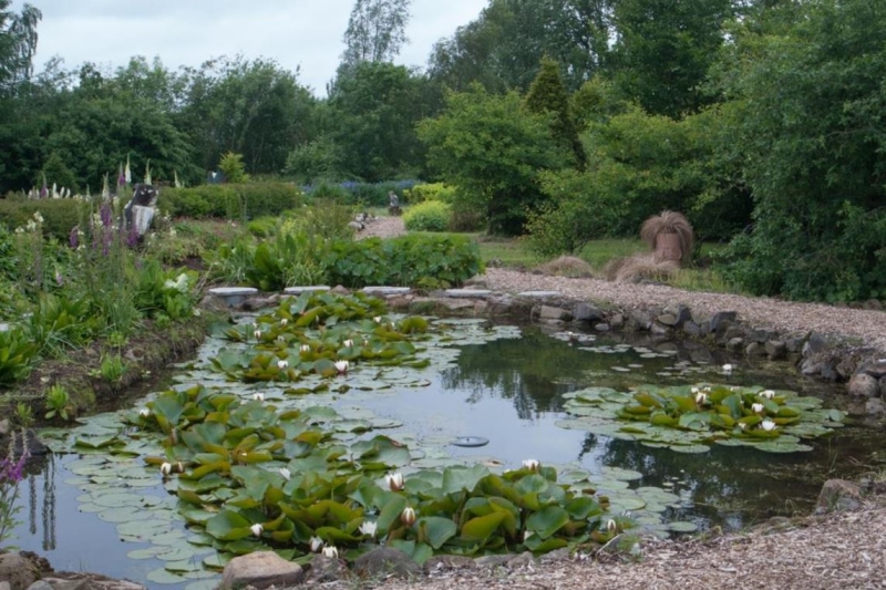 Holly House Garden